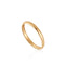 14kt Gold Stargazer Band Ring